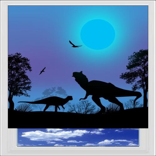 Dinosaurs Digitally Printed Photo Roller Blind