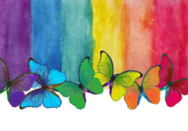 Rainbow Butterflies Digitally Printed Photo Roller Blind - Image 2